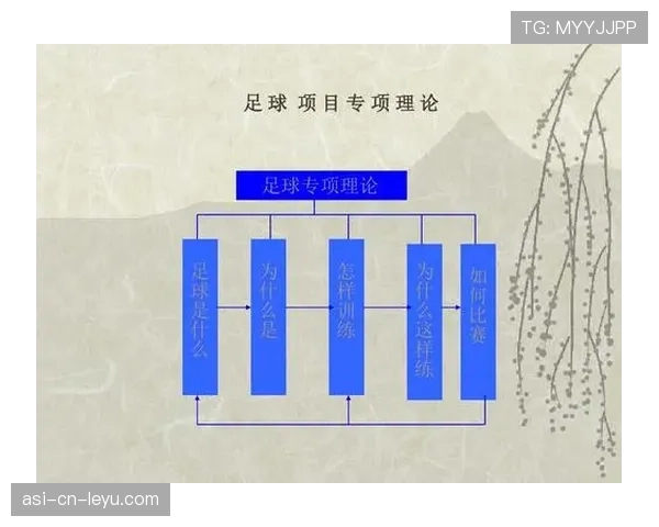 十三、足球与政治,足球的政治意义 十三、足球与政治,足球的政治意义